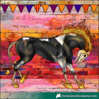 Horse Color:Black Tobiano 
