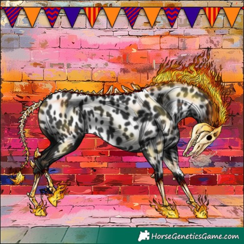 Horse Color:Black Appaloosa 