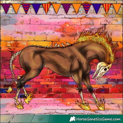 Horse Color:Bay 