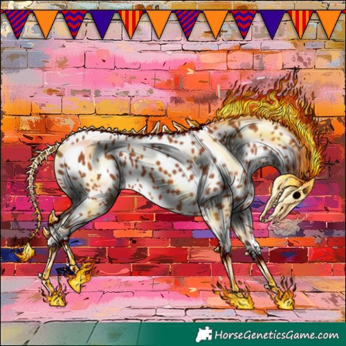 Horse Color:Bay Appaloosa 