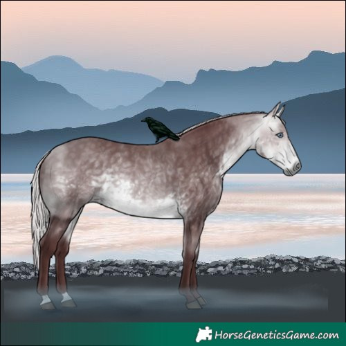 Horse Color:Chocolate Silver Buckskin Chinchilla 