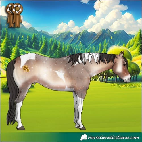 Horse Color:Brown Onyx Tobiano 