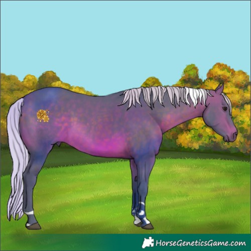 Horse Color:Watercolor Silver Brown Tobiano 