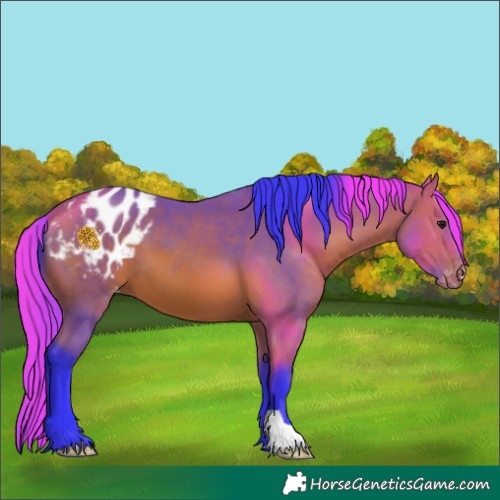 Horse Color:Watercolor Bay Appaloosa 