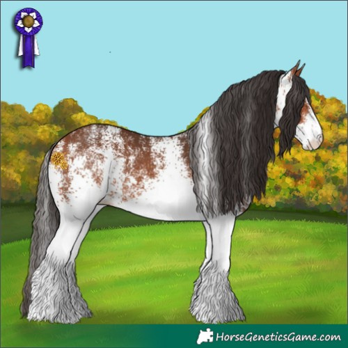 Horse Color:White Spotted Bay 