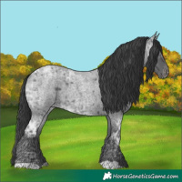 Horse Color:Blue Ice Roan Varnish 