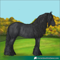 Horse Color:Black Rabicano 