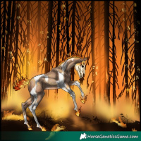 Horse Color:Amber Champagne Tobiano