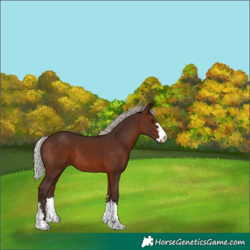Horse Color:Silver Brown Varnish 
