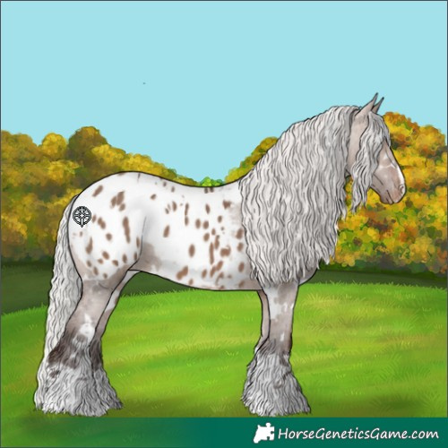 Horse Color:White Spotted Silver Brown Dun Blanket 