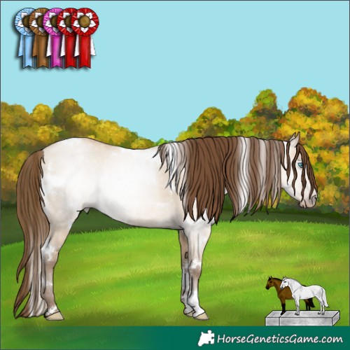 Horse Color:Gray White Spotted Buckskin Pearl Dun Rabicano 