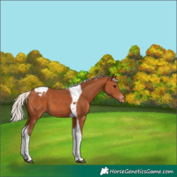 Horse Color:Silver Bay Tobiano Varnish 