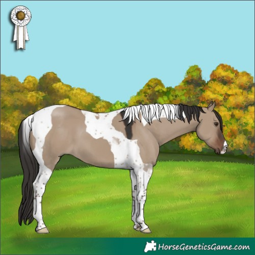 Horse Color:Liver Red Dun Tobiano 