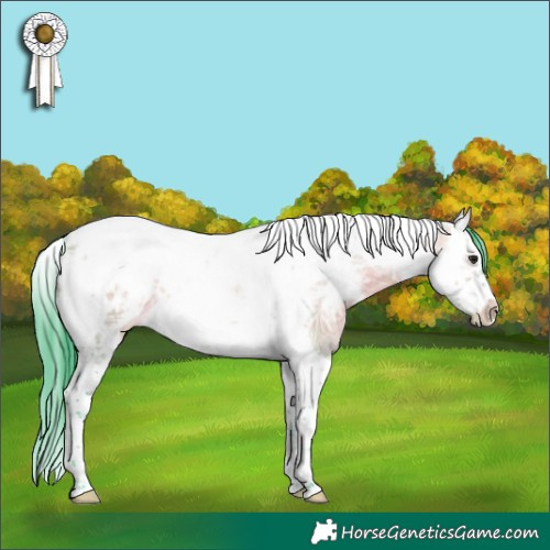 Horse Color:Watercolor White Spotted Brown Ice Dun Splash Tobiano Frame Appaloosa 