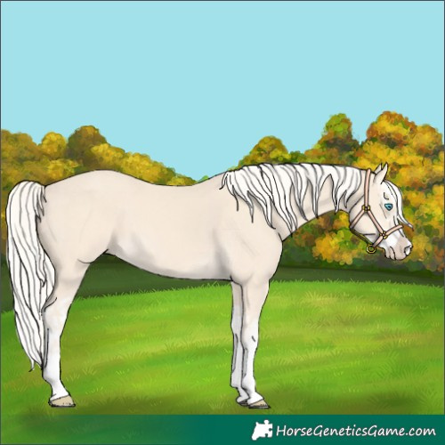 Horse Color:Cremello Splash  and Cremello Splash 