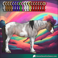 Horse Color:Brown Roan Tobiano Frame Rabicano 