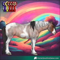 Horse Color:Brown Roan Tobiano Frame Rabicano 