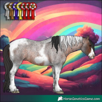 Horse Color:Brown Roan Tobiano Frame Rabicano