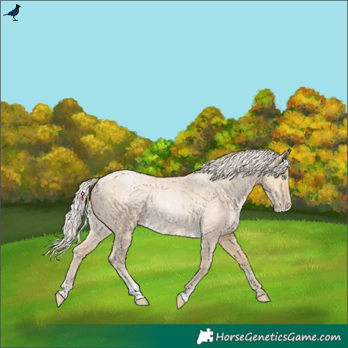 Horse Color:Silver Buckskin Roan Pearl Dun Rabicano