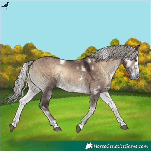Horse Color:White Spotted Silver Brown Onyx 