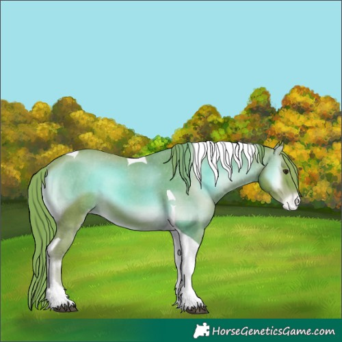 Horse Color:Watercolor Red Onyx Tobiano Appaloosa 