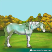Horse Color:Watercolor Red Onyx Tobiano Appaloosa 