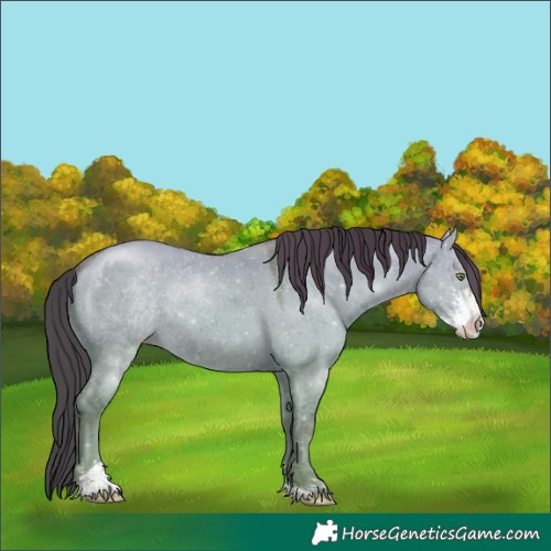 Horse Color:Amber Champagne Dun Sabino 