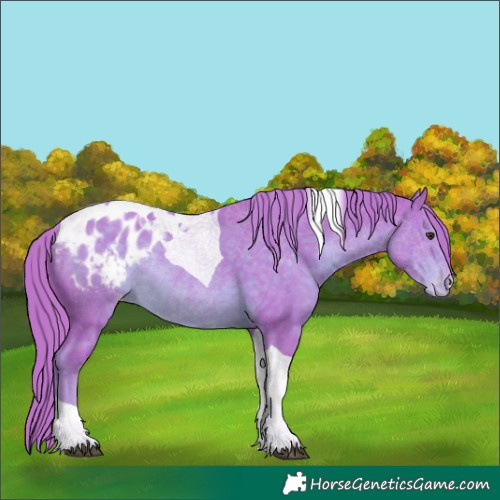 Horse Color:Watercolor Liver Chestnut Tobiano Blanket Rabicano 