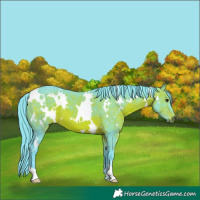 Horse Color:Watercolor White Spotted Brown 