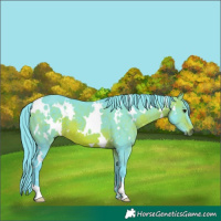 Horse Color:Watercolor White Spotted Brown