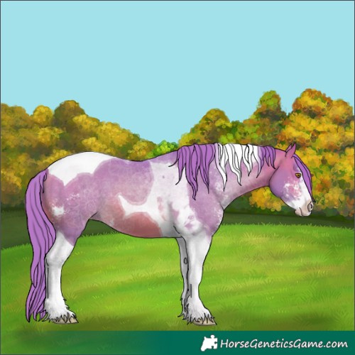 Horse Color:Watercolor Bay Pearl Sabino Tobiano Varnish 