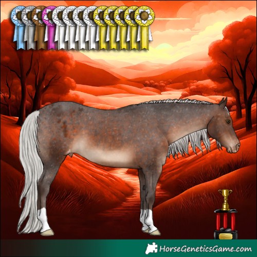 Horse Color:Silver Brown Appaloosa 