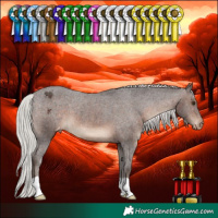 Horse Color:Silver Brown Appaloosa 