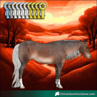 Horse Color:Silver Brown Appaloosa 