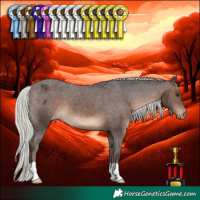 Horse Color:Silver Brown Appaloosa
