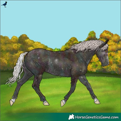 Horse Color:Midnight Silver Sable Champagne Ice Onyx Rabicano