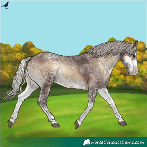 Horse Color:Silver Brown Ice Onyx