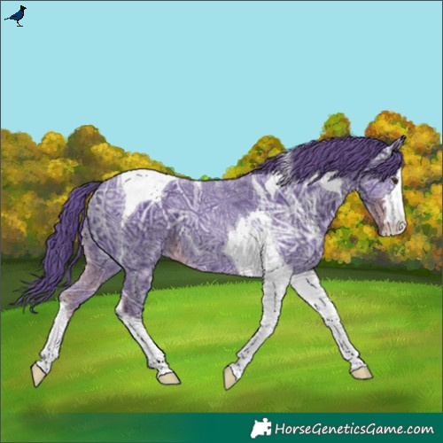 Horse Color:Watercolor Liver Chestnut Ice Tobiano 