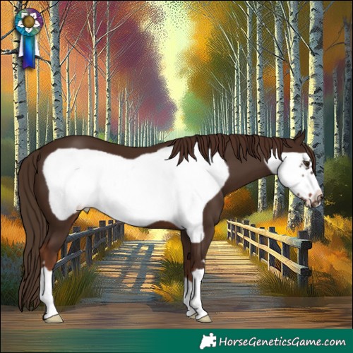 Horse Color:Liver Chestnut Frame 