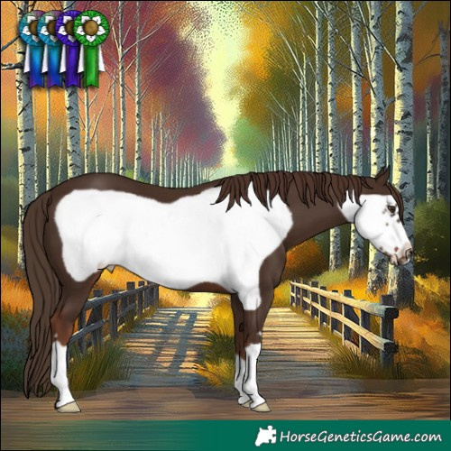 Horse Color:Liver Chestnut Frame 
