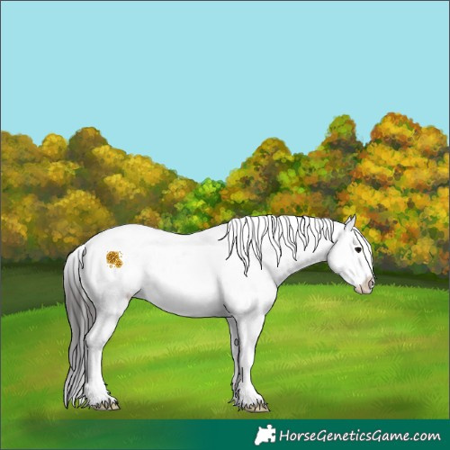 Horse Color:Brown Sabino 