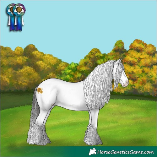 Horse Color:Brown Sabino 