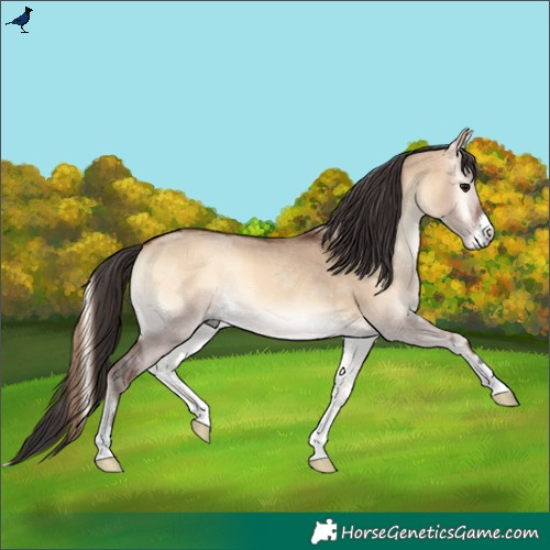 Horse Color:Bay Onyx 