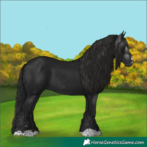Horse Color:Gray Black 