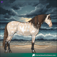 Horse Color:Bay Dun Near Leopard 