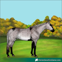 Horse Color:Void Chocolate Silver Brown Chinchilla Dun Splash Tobiano Brindle 