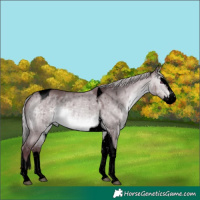 Horse Color:Void Chocolate Silver Brown Chinchilla Dun Splash Tobiano Brindle 