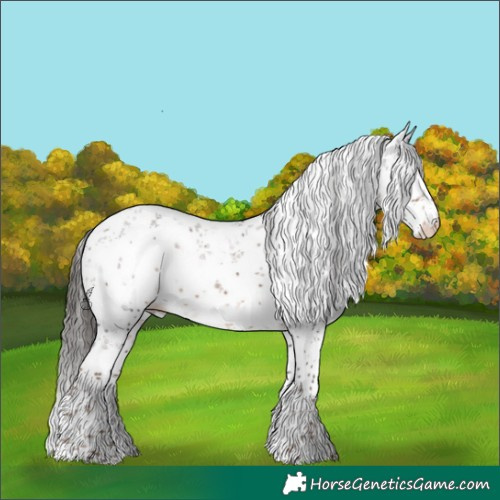Horse Color:White Spotted Liver Chestnut Ice Sabino Appaloosa 