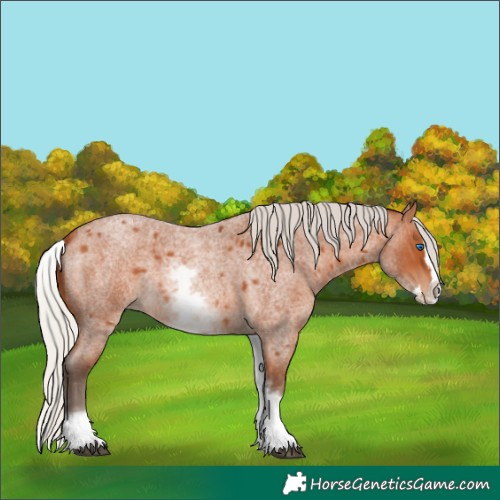 Horse Color:White Spotted Silver Bay Roan Splash 