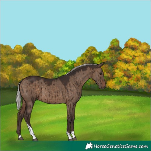 Horse Color:Silver Brown Dun Tobiano Brindle 